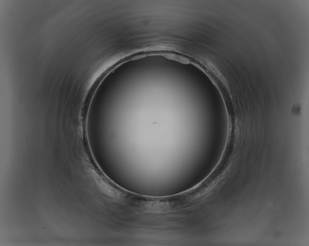 X0000089910789200707060958