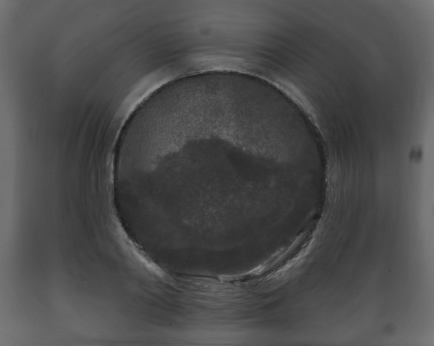 X0000089910790200707060958