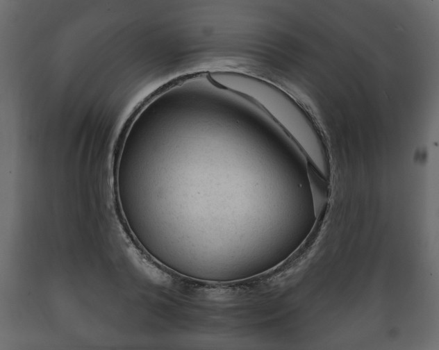 X0000089910792200707060958