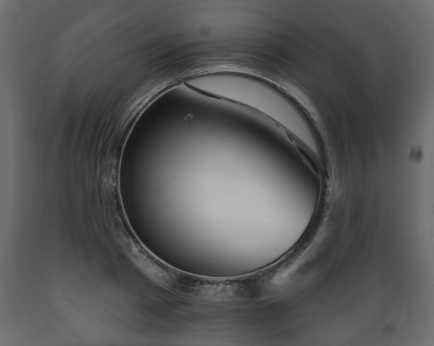 X0000089910793200707060958