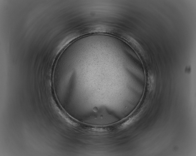 X0000089910794200707060958