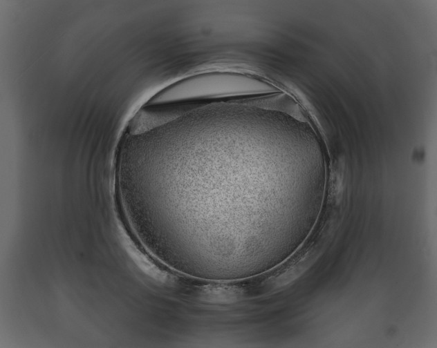 X0000089910795200707060958