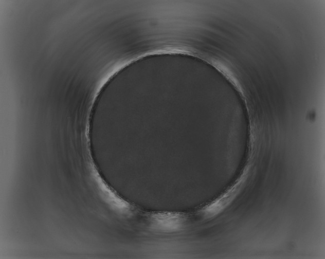 X0000089910797200707060958
