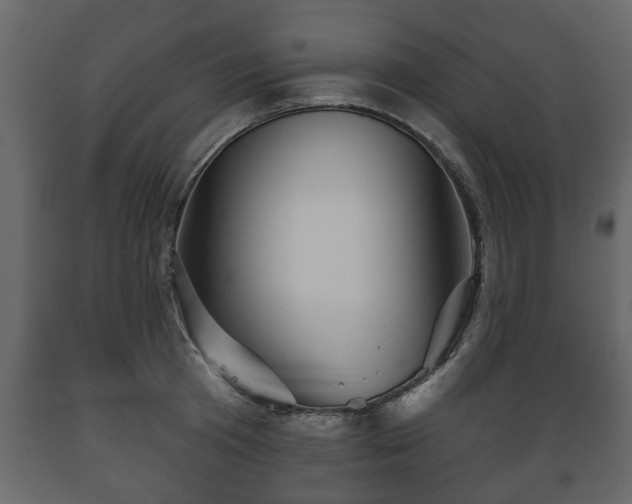 X0000089910801200707060957