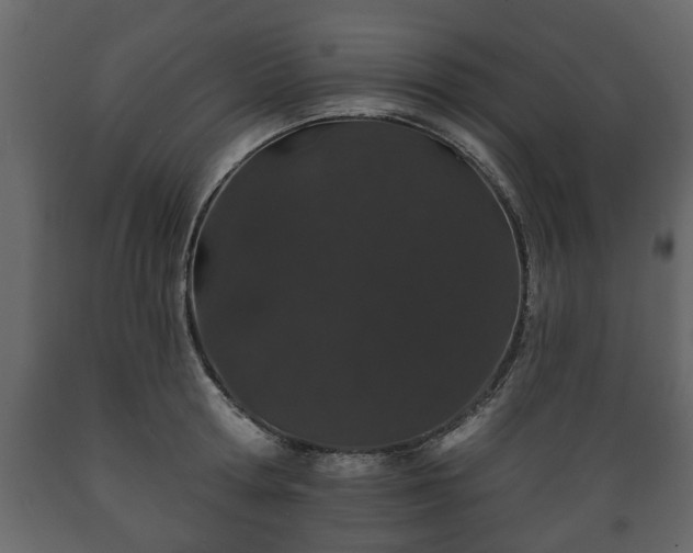 X0000089910802200707060957