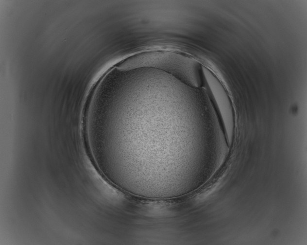 X0000089910803200707060957