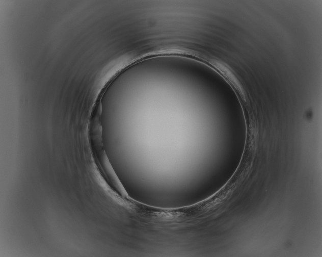 X0000089910805200707060957