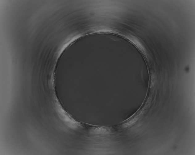 X0000089910806200707060957