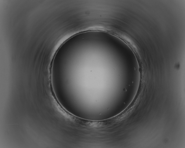 X0000089910808200707060957
