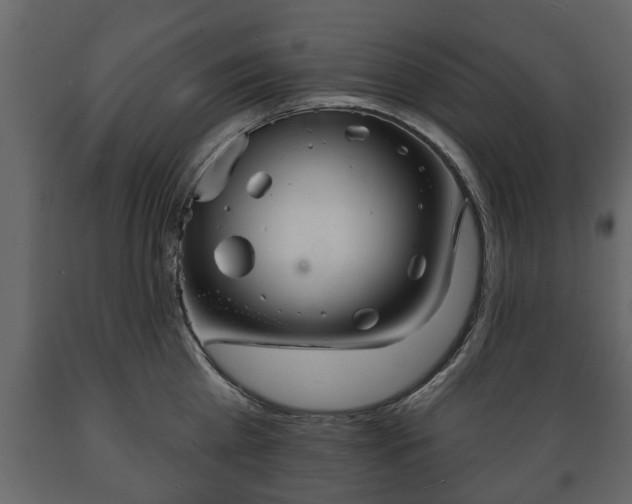 X0000089910809200707060957