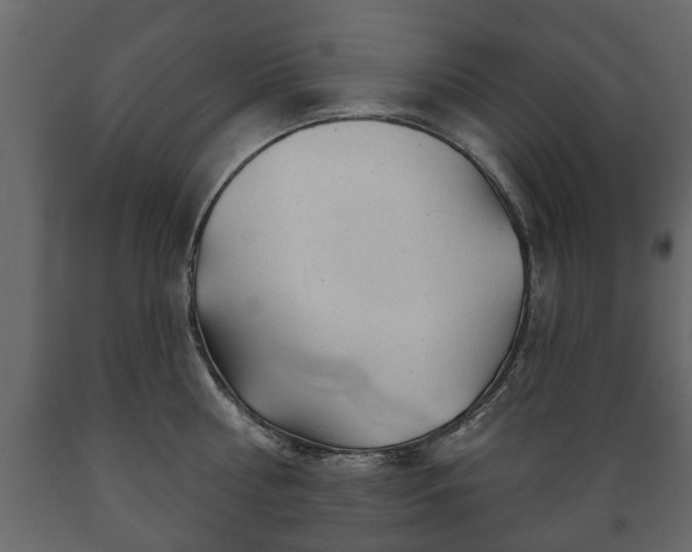 X0000089910810200707060957