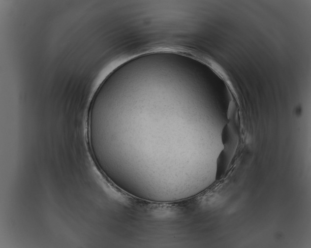 X0000089910811200707060957