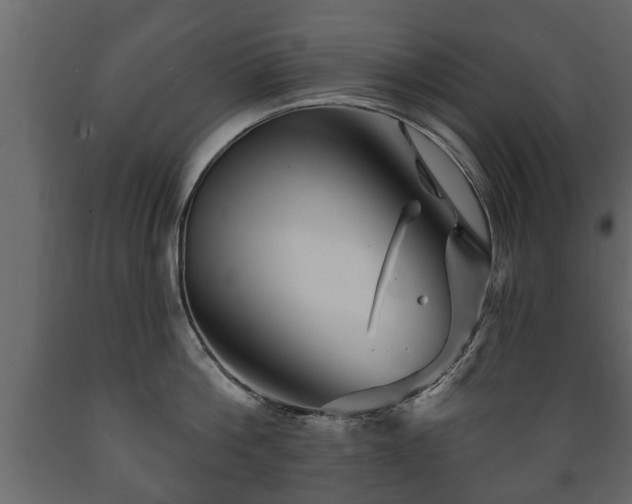 X0000089910812200707060957