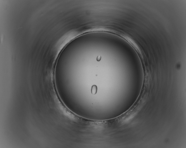X0000089910813200707060957