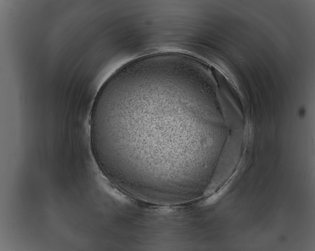X0000089910814200707060957