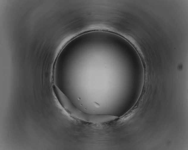 X0000089910815200707060957