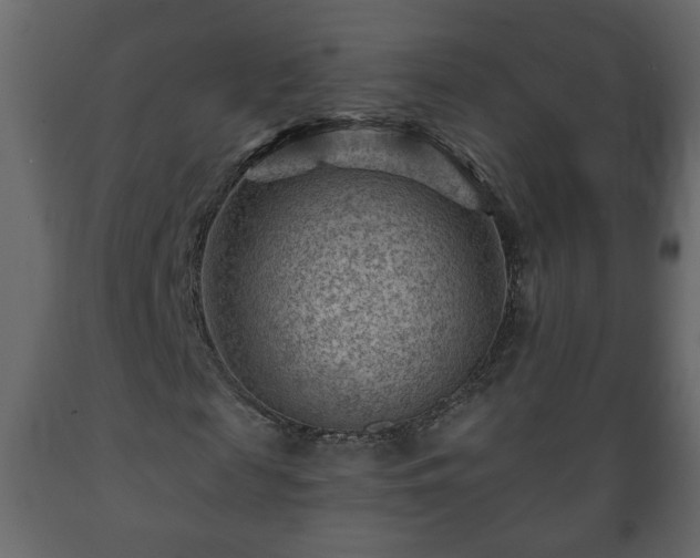 X0000089910817200707060957