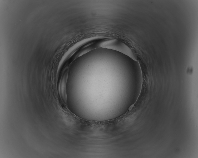 X0000089910818200707060957