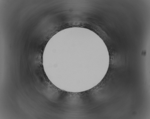 X0000089910820200707060957