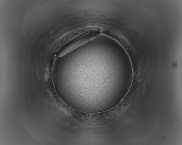 X0000089910821200707060957