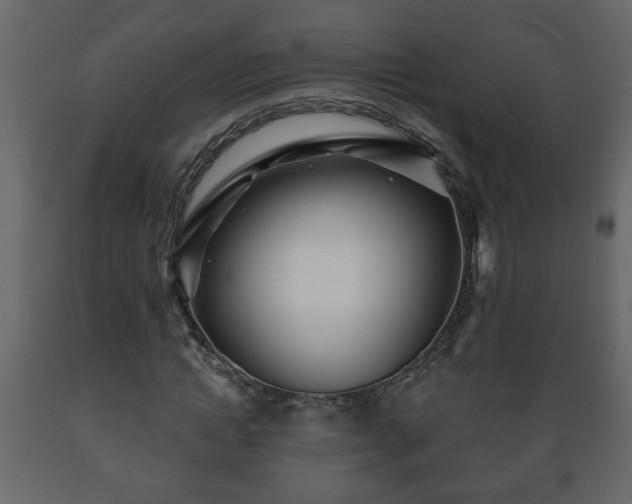 X0000089910822200707060957
