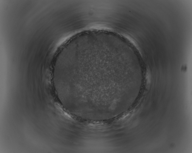 X0000089910823200707060957
