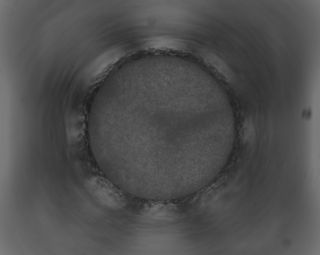 X0000089910824200707060957