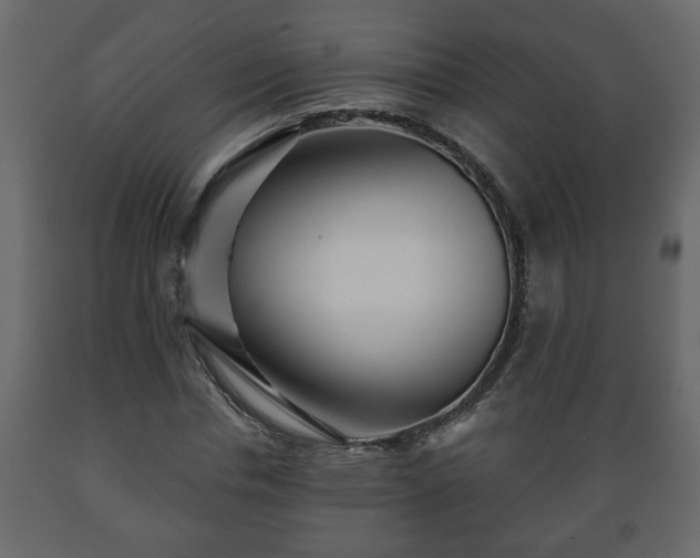 X0000089910826200707060957