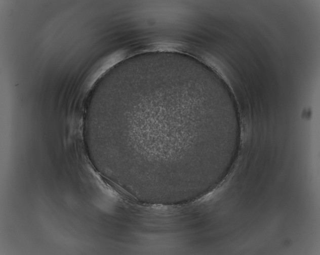 X0000089910827200707060957