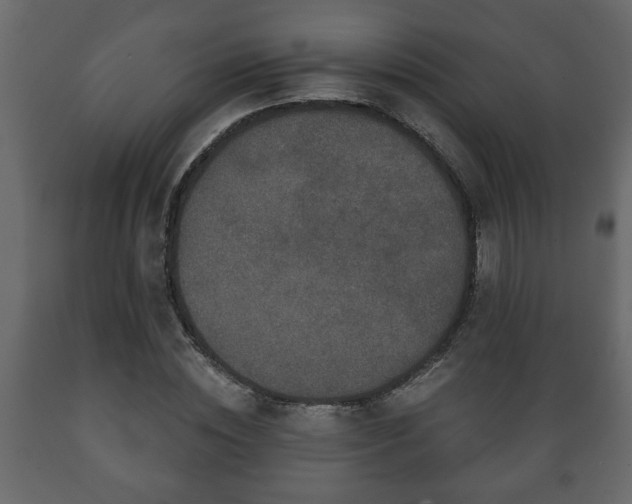 X0000089910828200707060957
