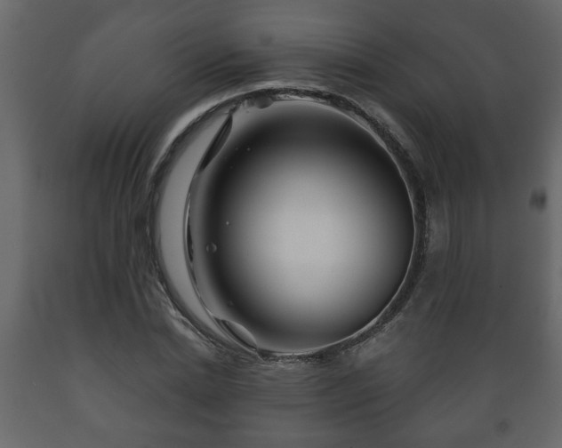 X0000089910830200707060957