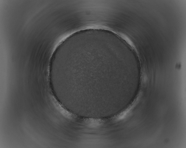 X0000089910831200707060957