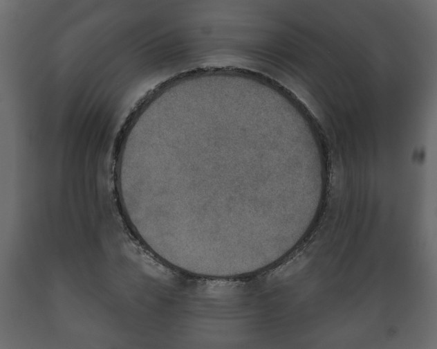 X0000089910832200707060957