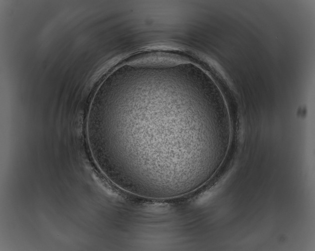 X0000089910833200707060957