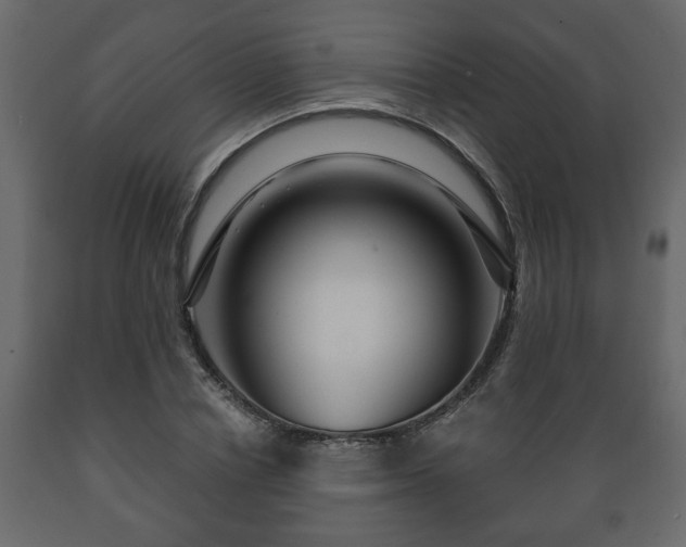 X0000089910834200707060957