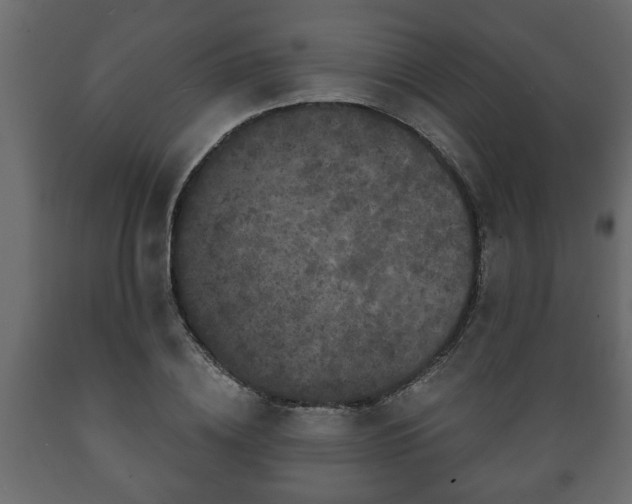 X0000089910836200707060957