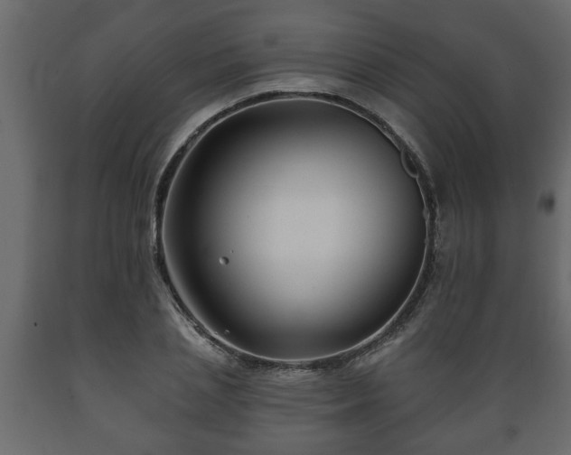 X0000089910837200707060957