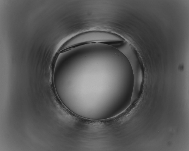 X0000089910838200707060957