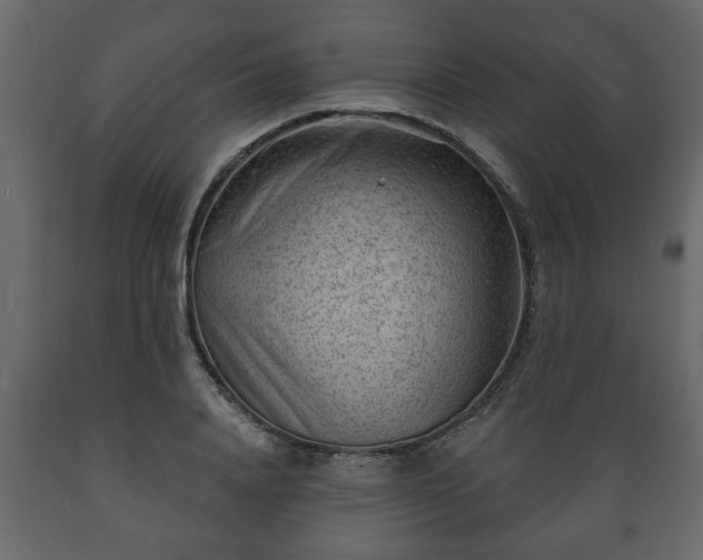 X0000089910840200707060957