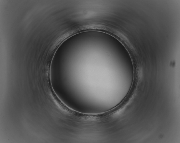 X0000089910841200707060957
