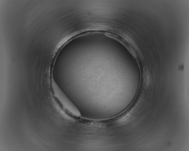 X0000089910842200707060957