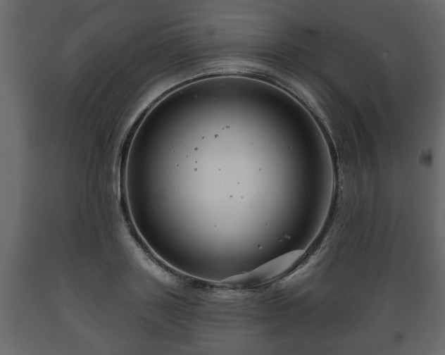 X0000089910843200707060957
