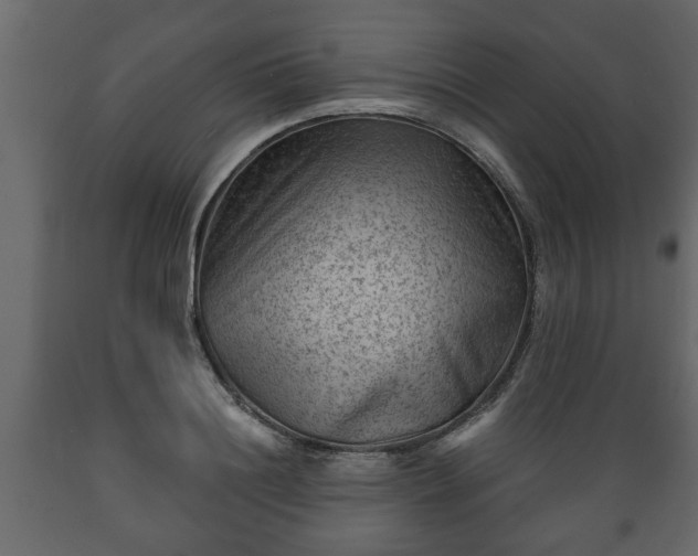 X0000089910844200707060957