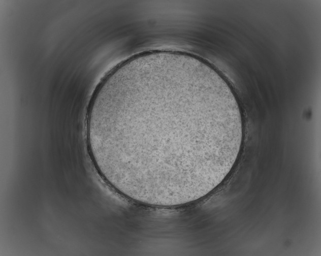 X0000089910848200707060957