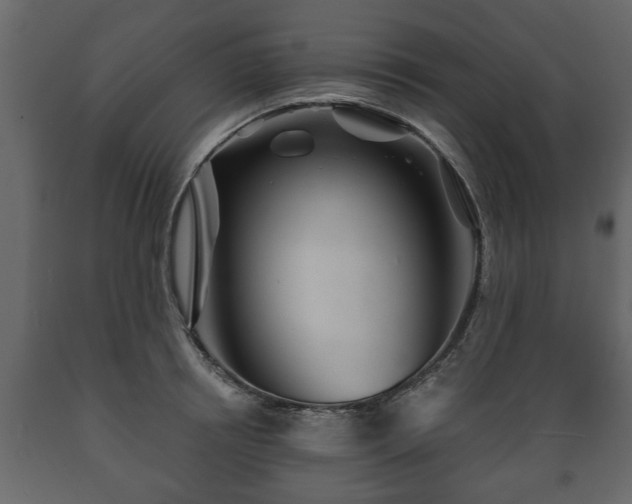 X0000089910850200707060957