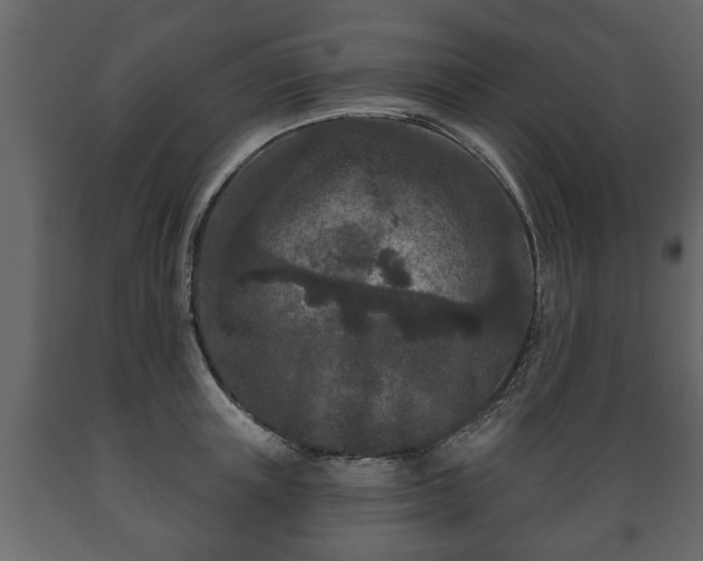 X0000089910851200707060957