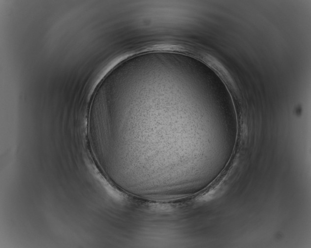 X0000089910852200707060957