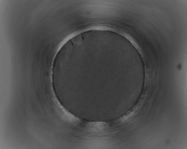 X0000089910853200707060957