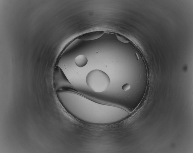 X0000089910854200707060957