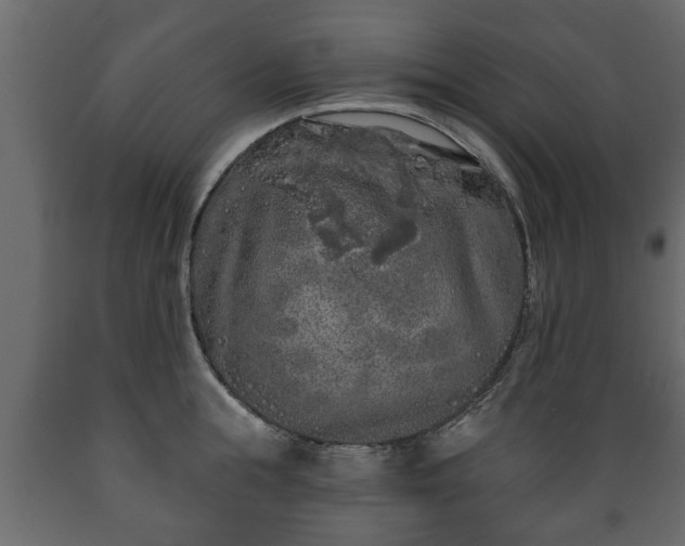 X0000089910855200707060957